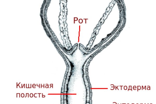 Кракен нрк